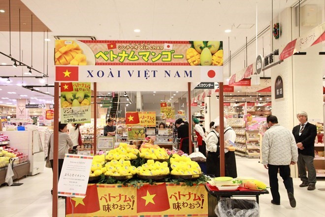 Vietnamese mangoes are sold at an Aeon supermarket in Japan (Photo: VNA)