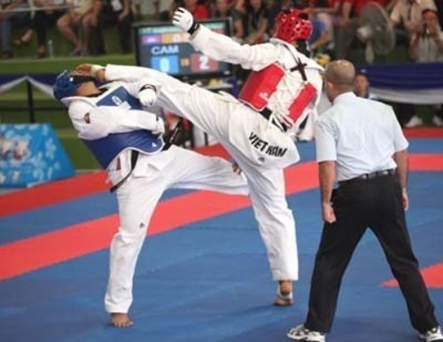 Vietnamese earn four golds at int’l taekwondo champs