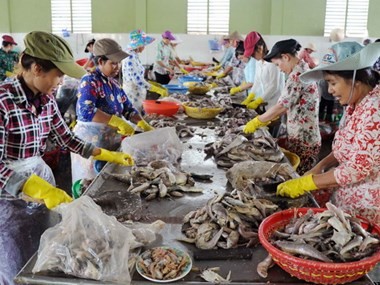Project helps SMEs in Tra Vinh improve environmental knowledge