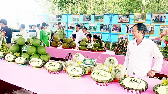 Agro-products of Hau Giang displayed (Photo: SGGP)