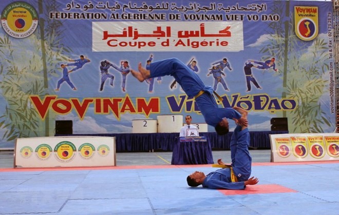 Martial artists compete at the event (Photo: VNA)