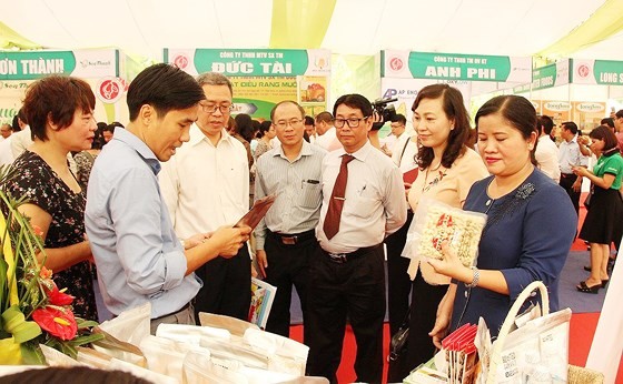 Binh Phuoc develops brandname of cashew attached with geographical indications