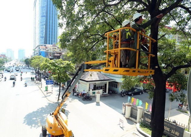 Workers of the Hanoi Green Park JSC trim branches of trees on Tran Duy Hung street in Hanoi ahead of the rainy season (Photo: VNA)