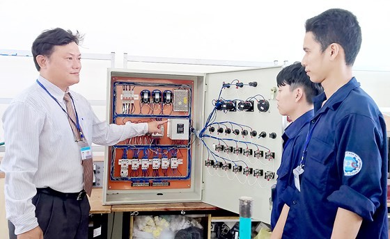 Schools to provide vocational training consultation as per gov’t project