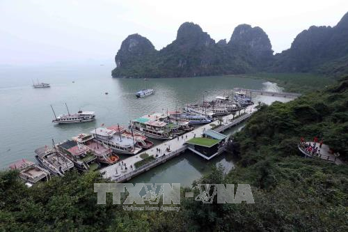 Tourism boats at Dau Go Cave (Photo: VNA)