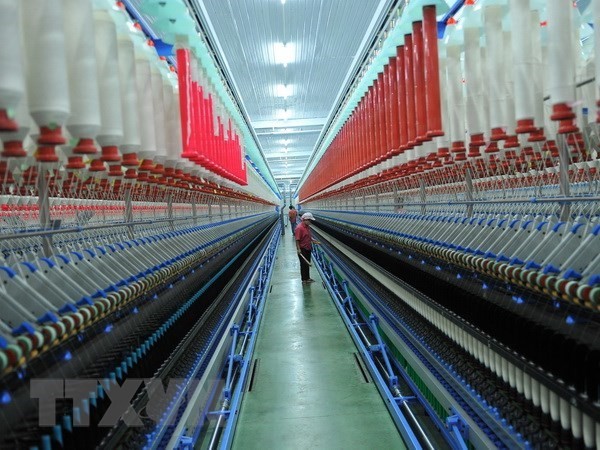A factory of the Lam Giang Yarn Company (Photo: VNA)
