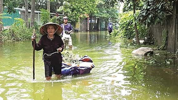 Diseases break out after flood in Chuong My District