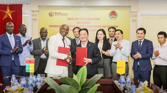 T&T Group of Vietnam pledges to buy Guinea Bissau’s raw cashew