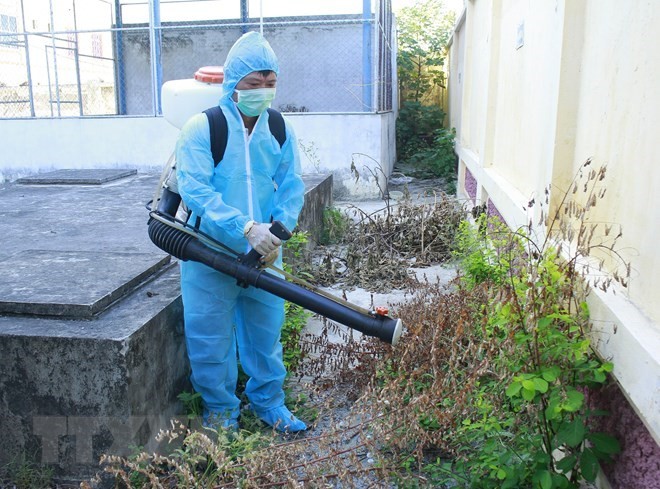 Da Nang steps up measures against dengue fever