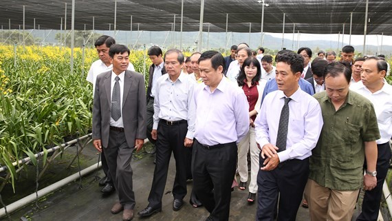Deputy PM Hue visits a flower cooperative in Lam Dong (Photo: SGGP)