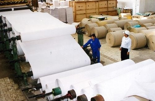 Capital shortage has been a headache for local paper manufacturers (Photo: VNA)