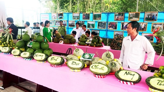 Agricultural products of farmers in Phuong Binh Commune  (Photo: SGGP)