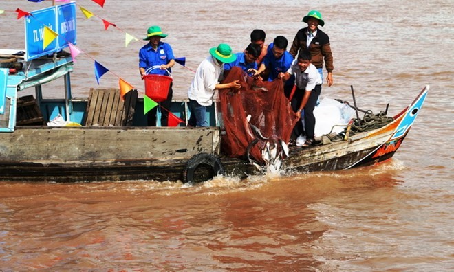 Over 7.6 tonnes of fish fry released in An Giang