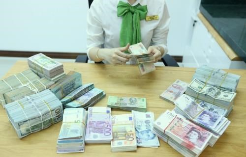 The daily reference exchange rate is set at 22,673 VND/USD on August 29 (Photo: VNA)