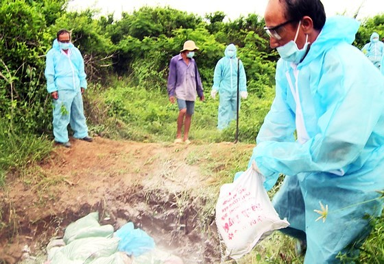 H5N6 strikes Vietnam’s 2,000 poultry