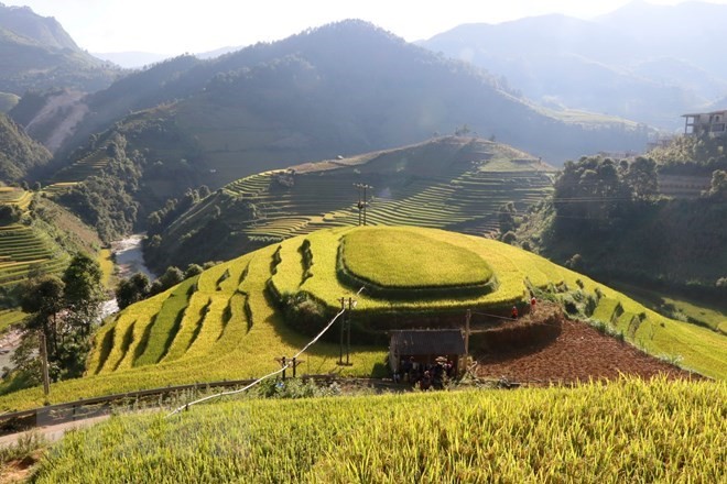 Terraced rice fields in Mu Cang Chai (Photo: VNA)