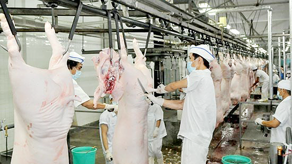 Six modern slaughterhouses to run in HCMC