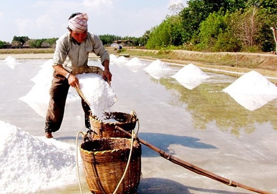 Salt price leap improves farmers’ income