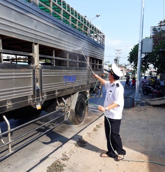Mekong delta provinces make concerted efforts to combat African Swine Fever