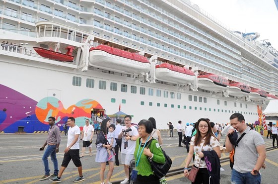 Vietnam loses chance of earning from cruise tourism