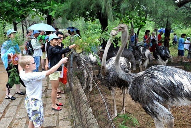 Tourists visit Hon Nhi island, Nha Trang (Source: VNA)