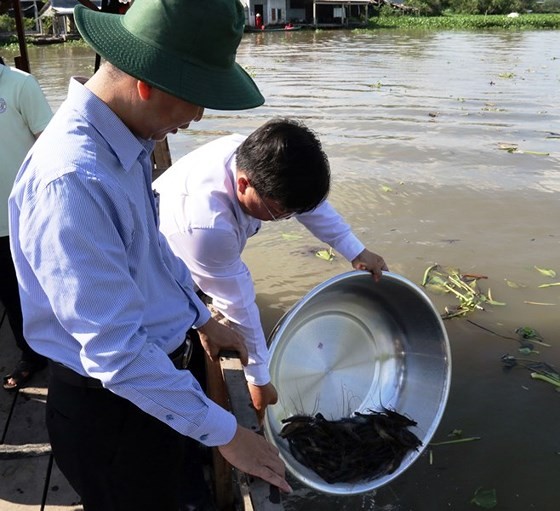 Breeding shrimp, fish released into river to protect living aquatic resources