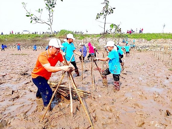 Communist Youth Union members clean up beach in Ha Tinh province