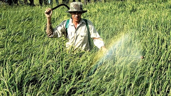 Vietnam to ban toxic weed killer