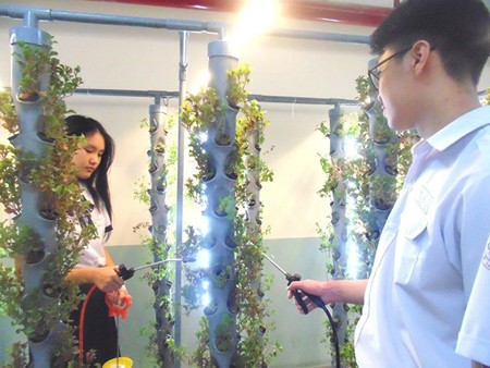 Tenth-graded students in Le Quy Don High School are taking care of plants using aeroponics technology in the project ‘Air Quality Improvement for Basement Parking Lot’