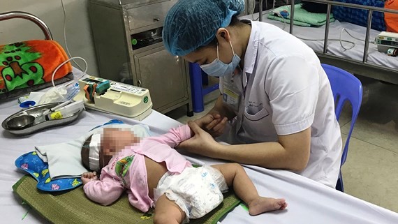 Japanese encephalitis enters its peak season in Vietnam