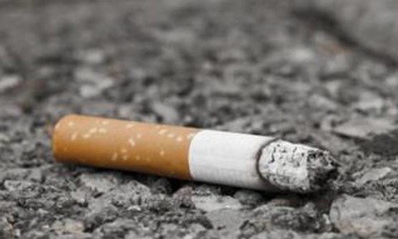Resident to face fine for littering streets with cigarette butts