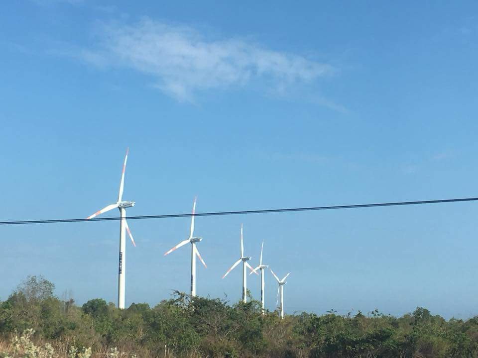 A wind energy project in Ninh Thuan Province (Photo: H.H )