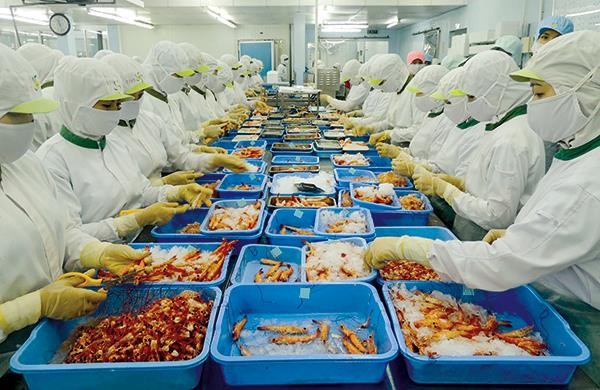 Workers process shrimp at Tra Noc 2 Industrial Park in the city of Can Tho. — Photo baocantho.com.vn