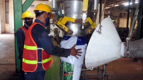 Workers produce organic fertilizer in a plant (Photo: SGGP)