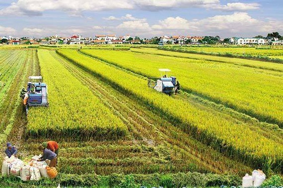 Long An to embark on smart agriculture-industry urban project