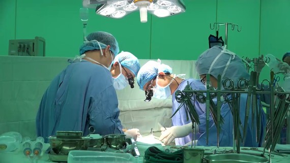 HCMC authorities address plastic surgery services