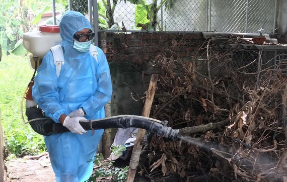 A medical worker is spraying chemicals to kill mosquitos (Photo: SGGP)