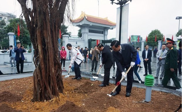Cau Giay responds to the tree planting festival. (Photo: giaoducthoidai.vn)