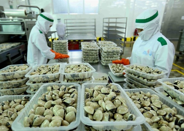 The Lenger Vietnam Seafood Company has processed clams for the domestic market and export, including to the EU. The EVFTA opens a great opportunity for Vietnam to ship more goods to the EU market. — VNA/VNS Photo