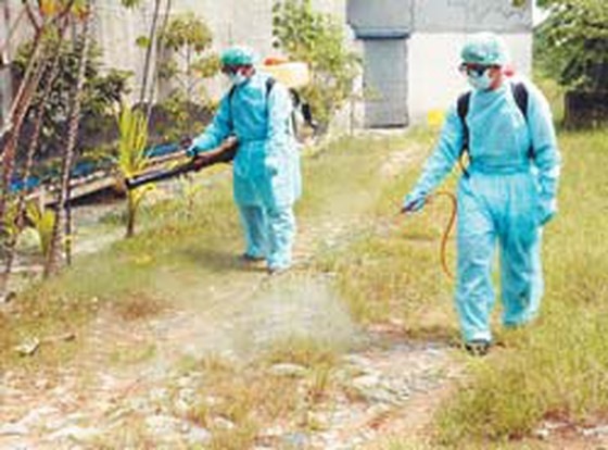 Vets spray chemicals to disinfect farms (Photo: SGGP)
