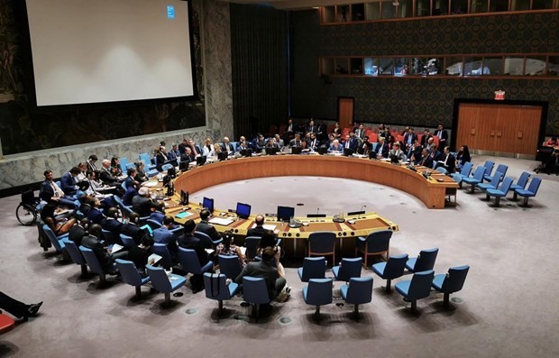 At a UNSC meeting (Photo: VNA)