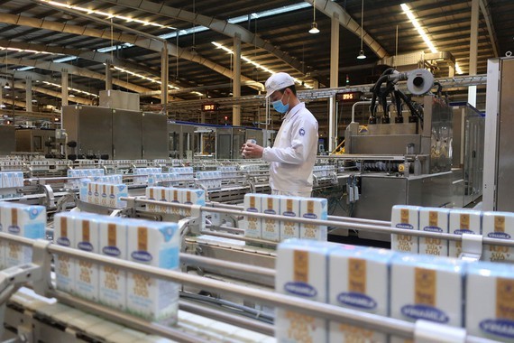 Food processing sector and beverage sector have seen growth (Photo: SGGP)