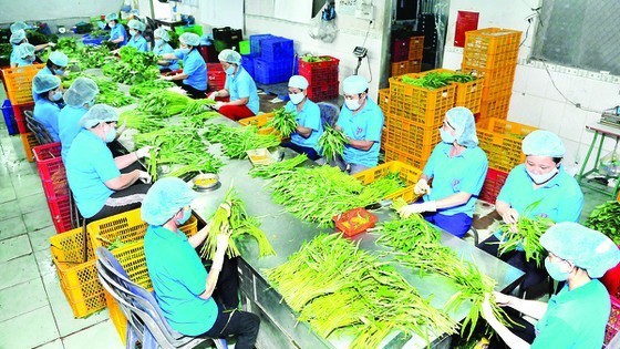 Agricultural exports to Thailand market surge