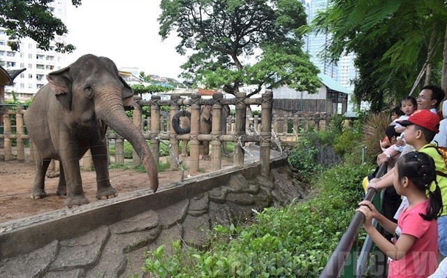 The Sai Gon Zoo and Botanical Garden is the country’s largest zoo and botanical garden. It attracts several thousand visitors every day. — Photo courtesy of the Sai Gon Zoo and Botanical Garden