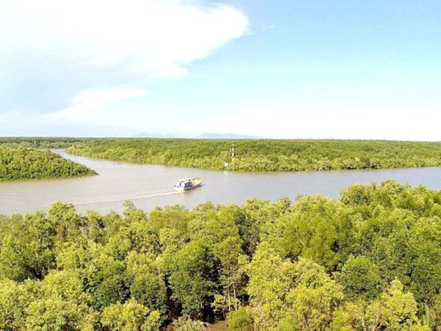 The famous Can Gio Mangrove Biosphere Reserve Area. (Photo: VNA)