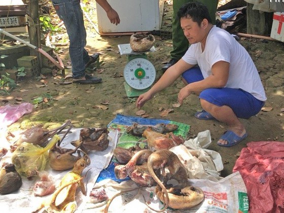 Police officers of Lam Dong province catch Nguyen Van Thanh in the act of restoring rare animals (Photo: SGGP)