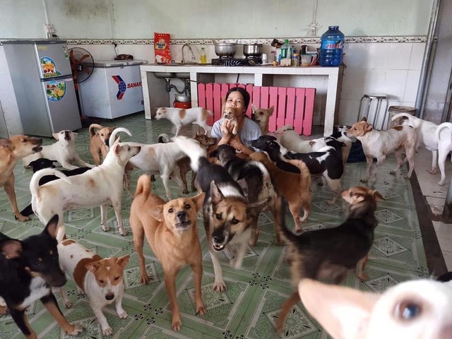 Nguyen Thi Thanh Ha with her dogs. — Photo tienphong.vn