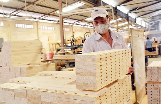 Vietnam to make rubberwood for sustainable exports: Vietnam Rubber Association