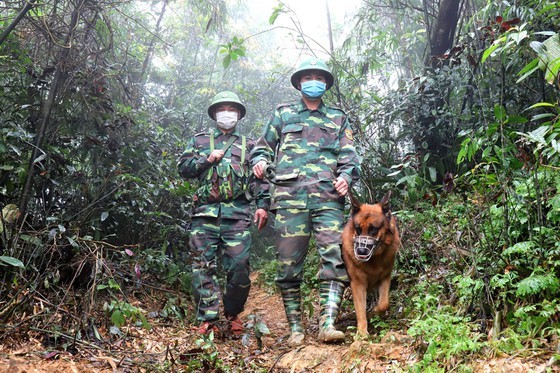 Border guards are patrolling in the borderline in the Central Province of Ha Tinh (Photo: SGGP)