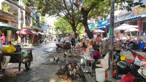 Slaughter and sales of live poultry in multiple makeshift poultry markets in Ho Chi Minh City (Photo: SGGP)